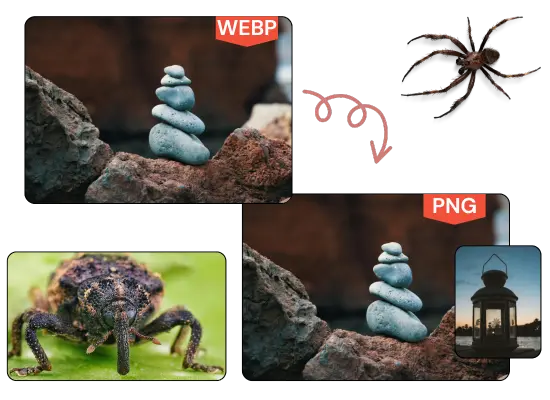 WebP to PNG Converter